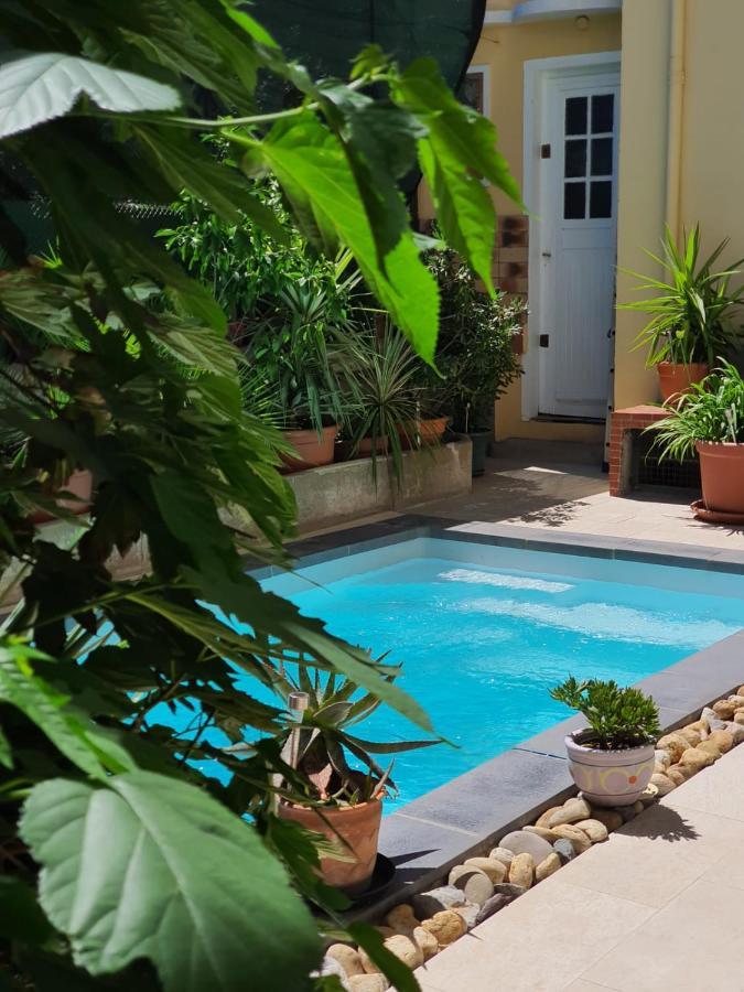 B&B Le Patio En Ville - Chambres D'Hotes 纳博讷 外观 照片